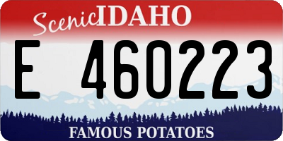 ID license plate E460223