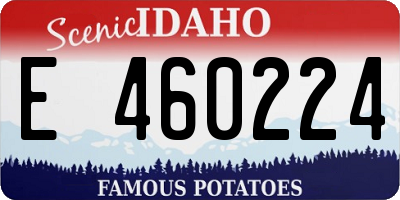 ID license plate E460224