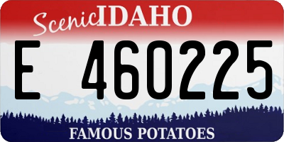 ID license plate E460225