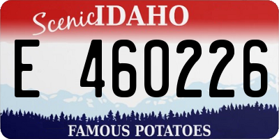 ID license plate E460226