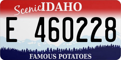 ID license plate E460228
