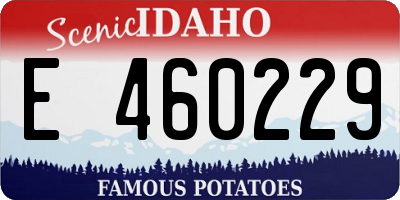 ID license plate E460229