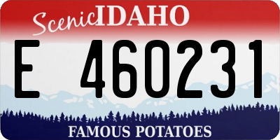ID license plate E460231