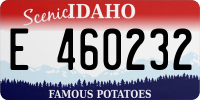 ID license plate E460232