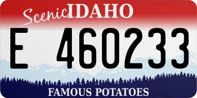 ID license plate E460233