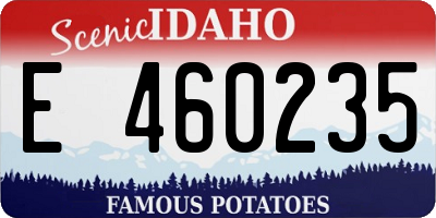 ID license plate E460235