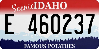ID license plate E460237