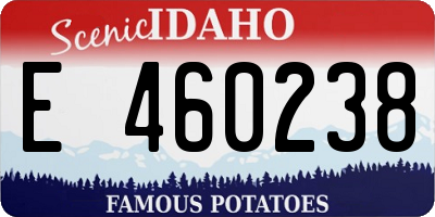 ID license plate E460238