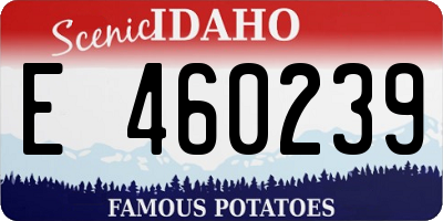 ID license plate E460239
