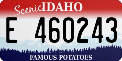ID license plate E460243