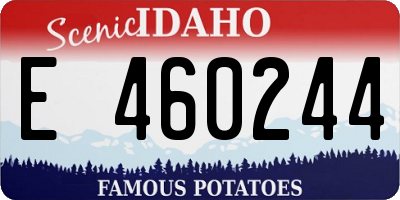 ID license plate E460244