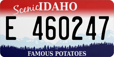 ID license plate E460247