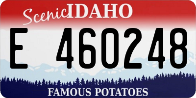 ID license plate E460248