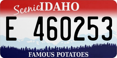 ID license plate E460253