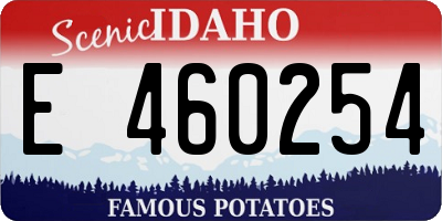 ID license plate E460254