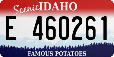 ID license plate E460261