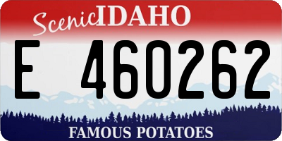 ID license plate E460262