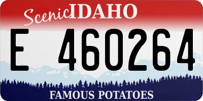 ID license plate E460264