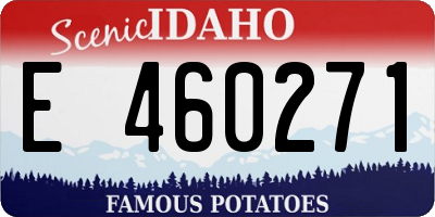 ID license plate E460271