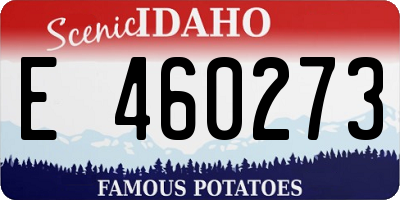 ID license plate E460273