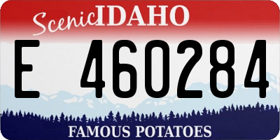 ID license plate E460284