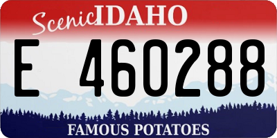 ID license plate E460288