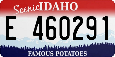 ID license plate E460291