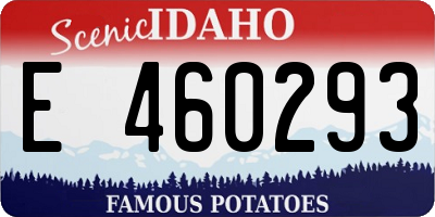 ID license plate E460293