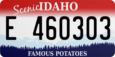 ID license plate E460303