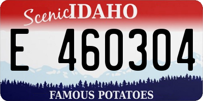ID license plate E460304