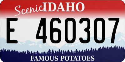 ID license plate E460307