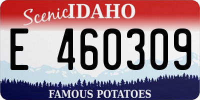 ID license plate E460309