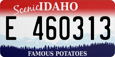 ID license plate E460313