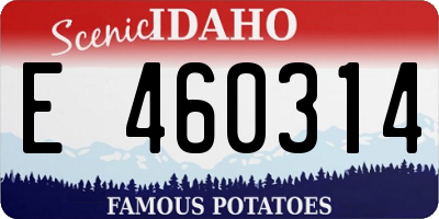 ID license plate E460314