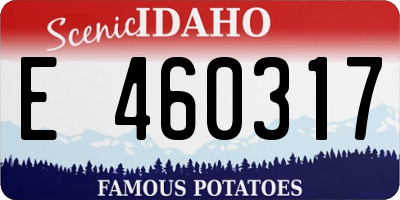ID license plate E460317