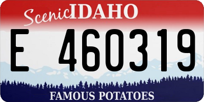 ID license plate E460319