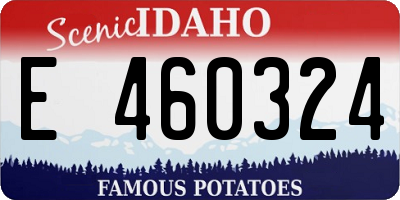 ID license plate E460324