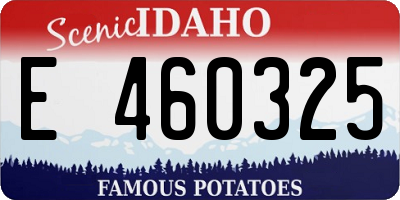 ID license plate E460325