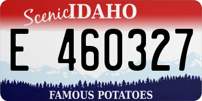 ID license plate E460327