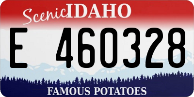 ID license plate E460328