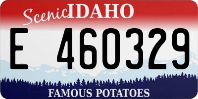 ID license plate E460329