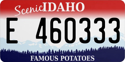 ID license plate E460333
