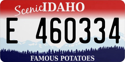 ID license plate E460334