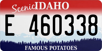ID license plate E460338