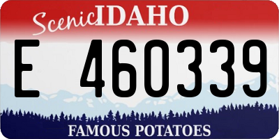 ID license plate E460339
