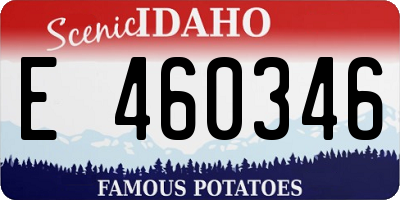 ID license plate E460346