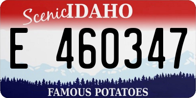 ID license plate E460347