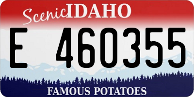 ID license plate E460355