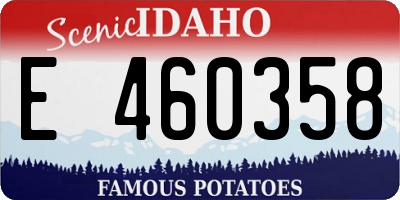 ID license plate E460358