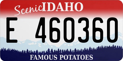 ID license plate E460360